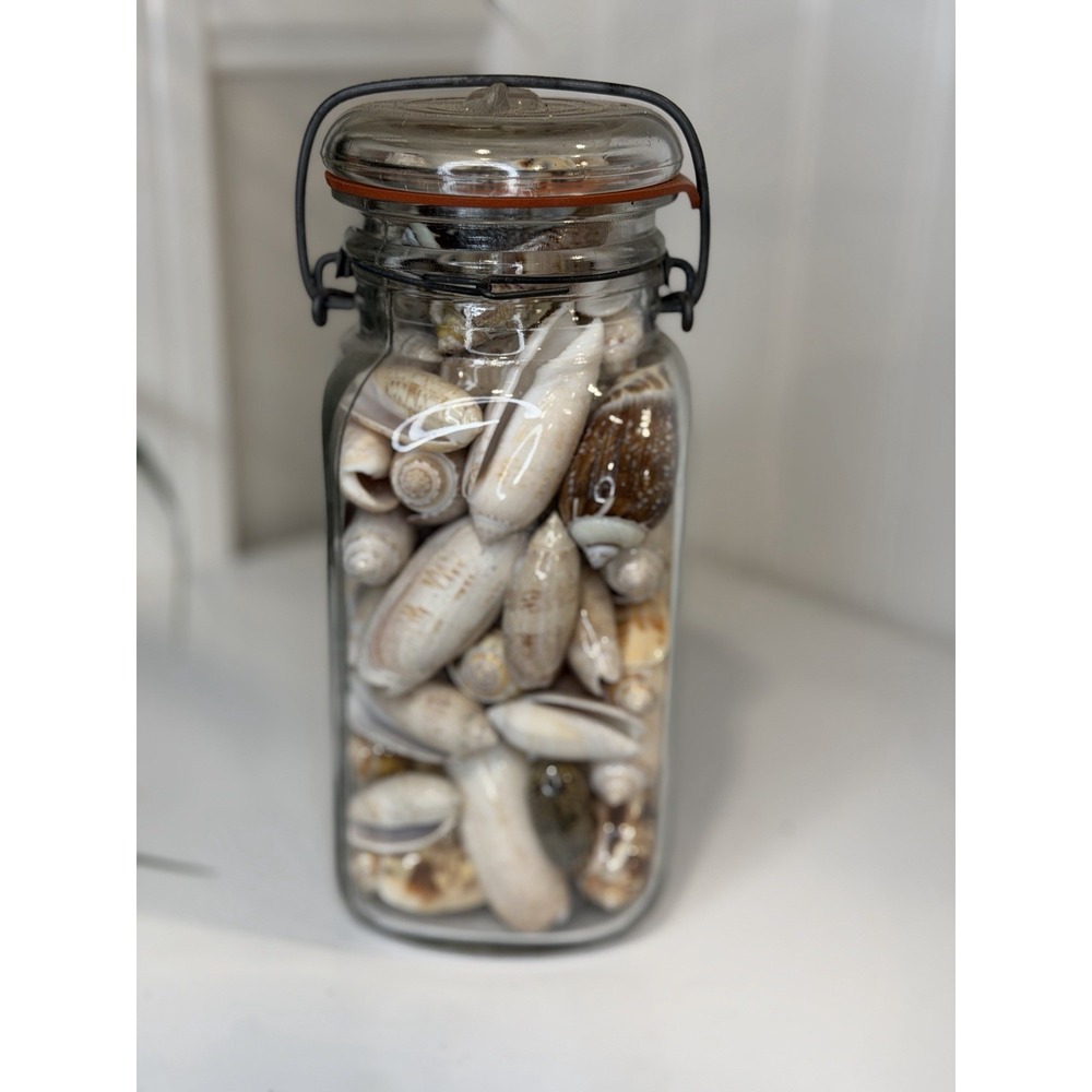 Vintage Wire Bail Glass Canning Jar Full of Olive Sea Shells Coastal Decor 7.5" - Picture 2 of 7